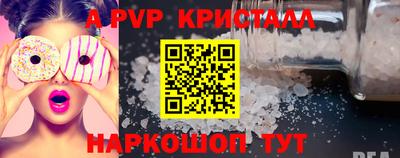 хмурый Кингисепп
