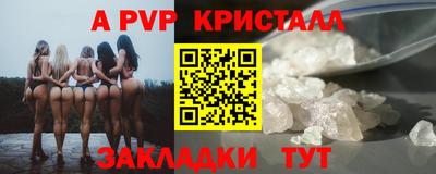 хмурый Кингисепп