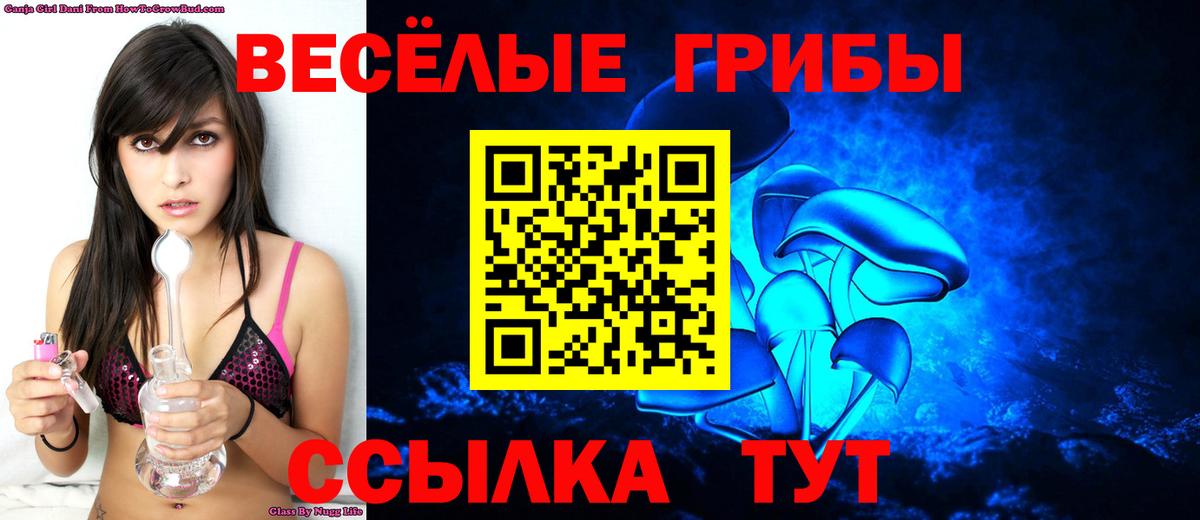 Коряжма  Галлюциногенные грибы мухоморы  Вход с VPN 